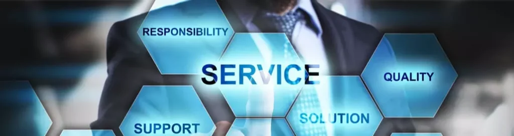 What You Should Expect From Professional It Services
